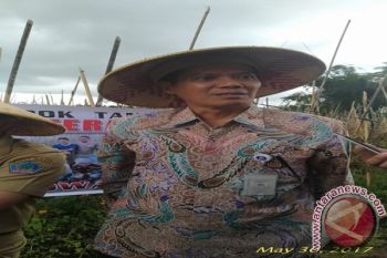BI: UMKM Berperan Besar Serap Tenaga Kerja 