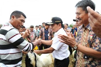 Pemkab Beri Bantuan Ternak untuk Kelompok Tani 