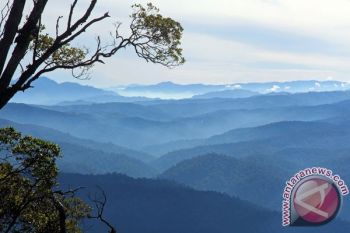 Warisan Dunia Ekosistem Leuser Masih dalam Bahaya