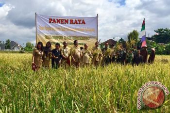 Distan DI tingkatkan mekanisasi pertanian