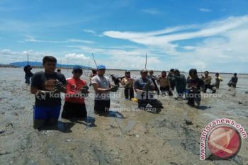 Atasi Abrasi dengan Rehab Hutan Mangrove