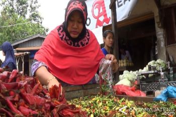 Stok Melimpah, Harga Cabai Merah di Pekalongan Anjlok 