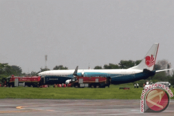 Bandara Juanda Gunakan Suara Hewan Predator untuk Usir 42 Jenis Burung 