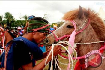 Parade Kuda Sandelwood Perkenalkan Pulau Sumba 