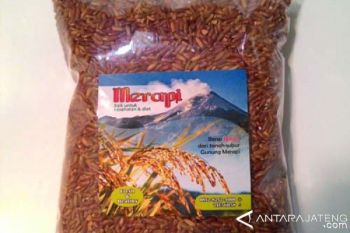 Seniman Sanggar Bangun Budaya Budi Daya Beras