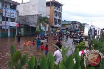 Tujuh Kecamatan di Barito Utara Terendam Banjir