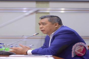 Anggota DPR : Sikap Freeport Menghina Hukum Nasional