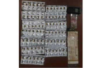 Pemuda Teler Bawa Ratusan Pil Zenith di Benua Lima