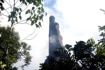 Siap Menaklukkan Puruk Sandukui Gumas, Tim Mapala UI Berlatih Tiga Bulan