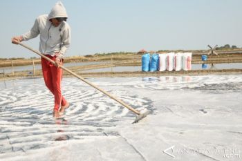 Produsen Garam Mulai Kurangi Bahan Baku Impor