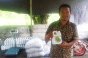 Sip! Usaha Sawit-Sapi Skala Menengah-Kecil Berkembang di Kobar