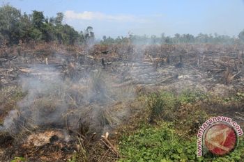 Menanti tegaknya hukum di gambut terbakar 