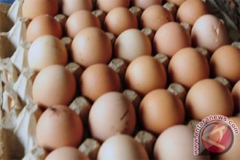 Jangan terpengaruh isu telur 'plastik'