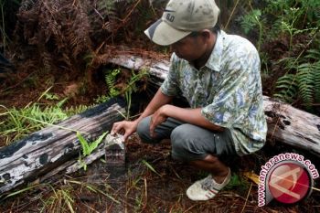Warga Palu Minta Tuntaskan Tapal Batas 