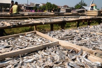 Pengusaha Ikan Asin Pekalongan Sulit Peroleh Garam