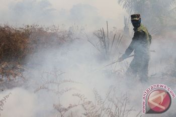 Delapan Pelajar Aceh Barat Tumbang Akibat Asap