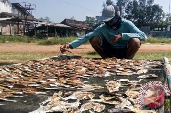 Perajin Ikan Asin Keluhkan Harga Garam Tinggi 
