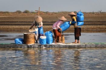 Petani garam Gunung Kidul tingkatkan produksi