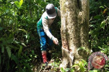 Kelangkaan Pasokan Garam, Harga Ikan Asin Kunir di Batang Rp40.000/Kg