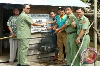 Penerima Kube di Lamandau Berhasil Budidayakan Nila