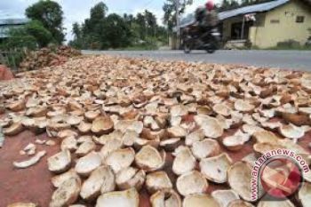 Anjlok, harga kopra di Baubau