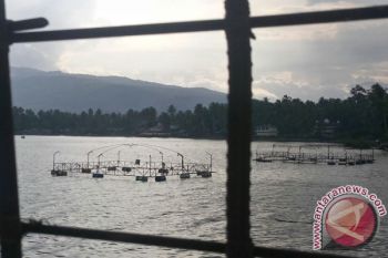 Pergub Penyelamatan Bilih Danau Singkarak Ditargetkan Selesai Akhir Agustus
