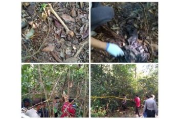 Ditemukan Kerangka Manusia di Hutan Desa Pembuang Hulu, Ini Respon Polres