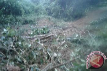 Rabijonggor Pasaman Barat Longsor, Akses Transportasi Putus Total