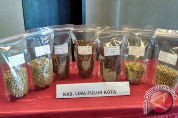 Sumbar Akan Perluas Areal Perkebunan Kopi