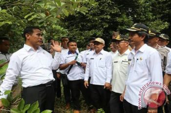 Bupati Harapkan Menteri Pertaian Bantu Konawe Kepulauan 