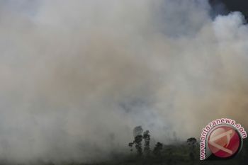 Jambi mulai dilanda kabut asap akibat kebakaran lahan