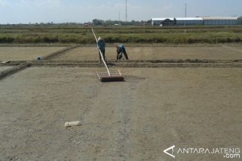 Bangun Pabrik Garam, Jateng Inventarisasi Lahan di Pati