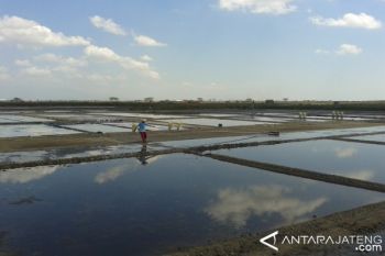 Korsel Tawarkan Teknologi Produksi Garam Tanpa Matahari