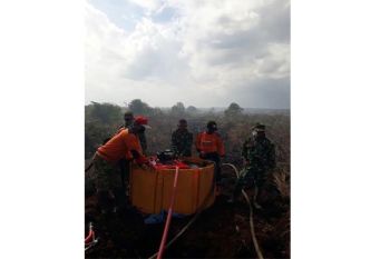 Waduh! Sekitar 51 Hektare Lahan Telah Terbakar di Kotawaringin Timur