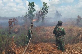 Waduh! Kebakaran Lahan di Kotim Mulai Rambah Permukiman