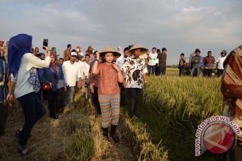 Legislator DPR PAN Serap Aspirasi Petani Gowa