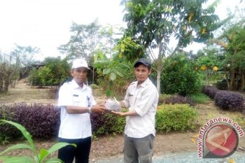 Pena Hijau Serahkan Pohon Langka Ke KRB