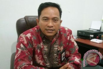 5.300 Peserta Ramaikan Jalan Sehat Bersama BUMN