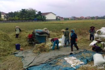 Kodim Kudus Siap Optimalkan Penyerapan Beras Petani