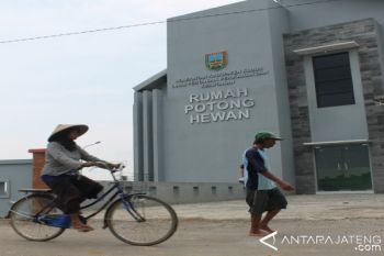 RPH Modern Gratiskan Biaya Pemotongan Hewan Kurban 