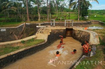 Mandi Di Saluran Irigasi