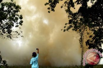 Polisi Dan Warga Berhasil Padamkan Kebakaran Lahan 