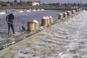 Pasokan Meningkat, Harga Jual Garam Tingkat Petani Mulai Turun