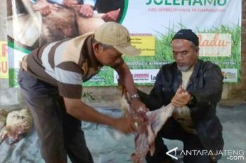 Temanggung Berikan Pelatihan Sembelih Hewan Kurban pada Takmir Masjid