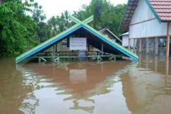 Trans Kalimantan Poros Selatan Banjir Setinggi 2 Meter