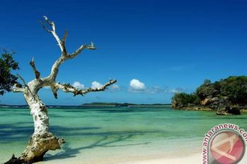Rote Jadi Pusat Pengembangan Produk Perikanan