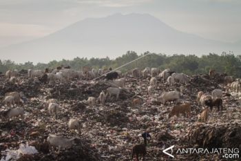 SAPI DI TPA