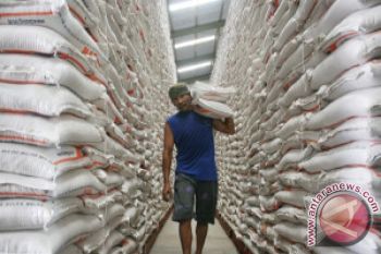 Stok Beras Aman Untuk Tujuh Bulan 