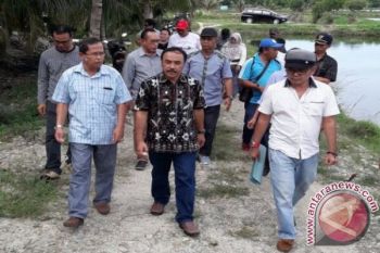 Presiden Jokowi dijadwalkan panen udang dan bandeng di Parigi