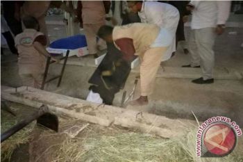 Satu Calon Haji Sulteng Meninggal Dunia 